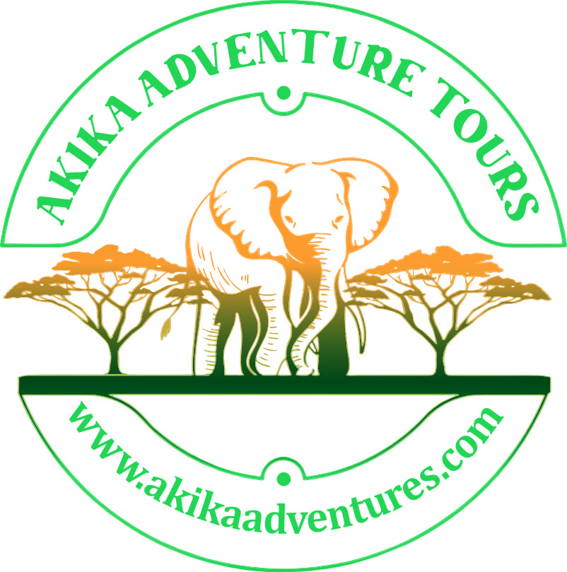 Akika Adventure & Tours logo
